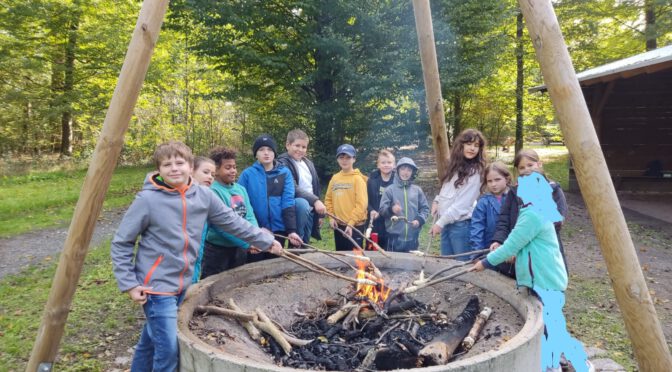 Waldtag Klassen 4